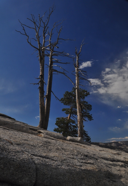 from Sentinel Dome